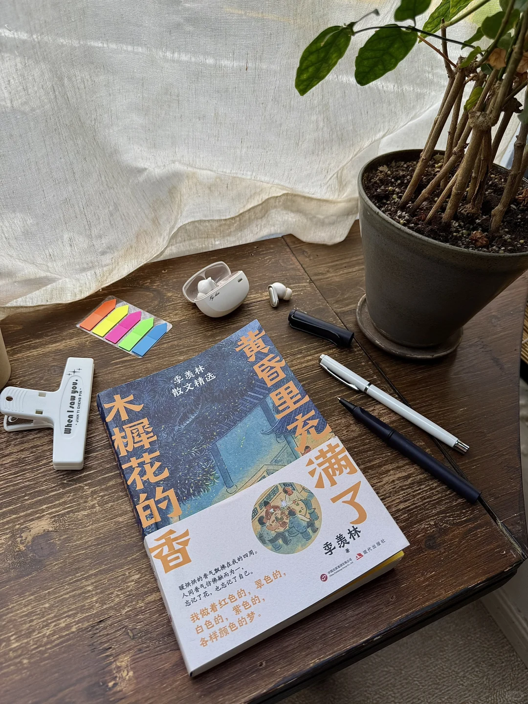 雨天、独处、阅读，像植物一样自由生长