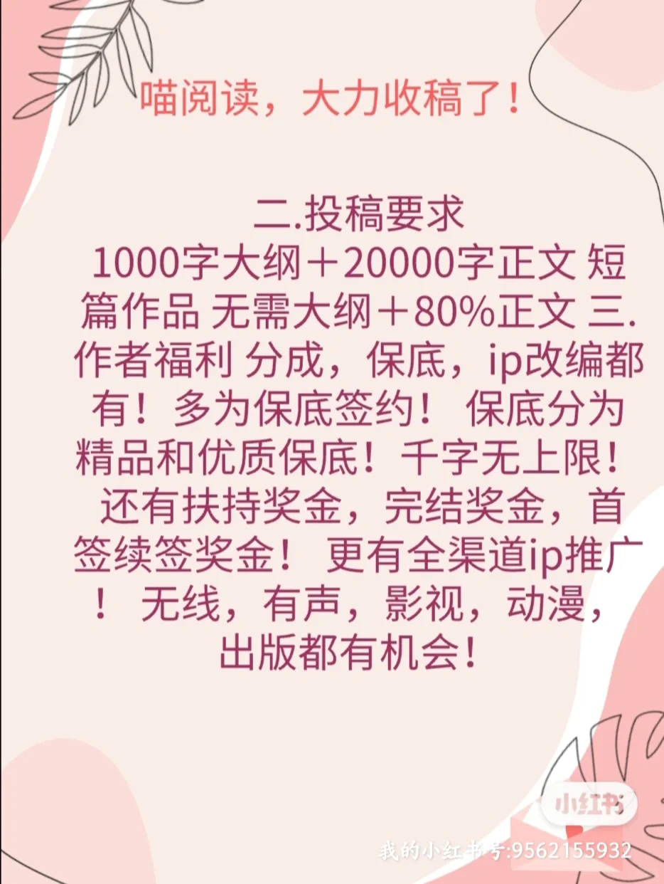 新人编辑带你起飞