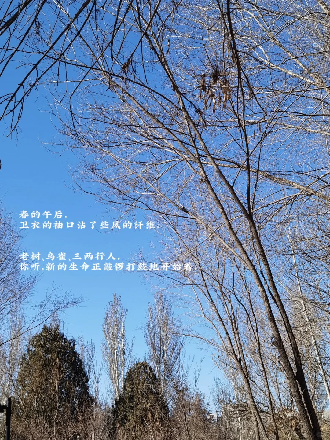 我的充电方式：独处，读书，晒太阳，不说话