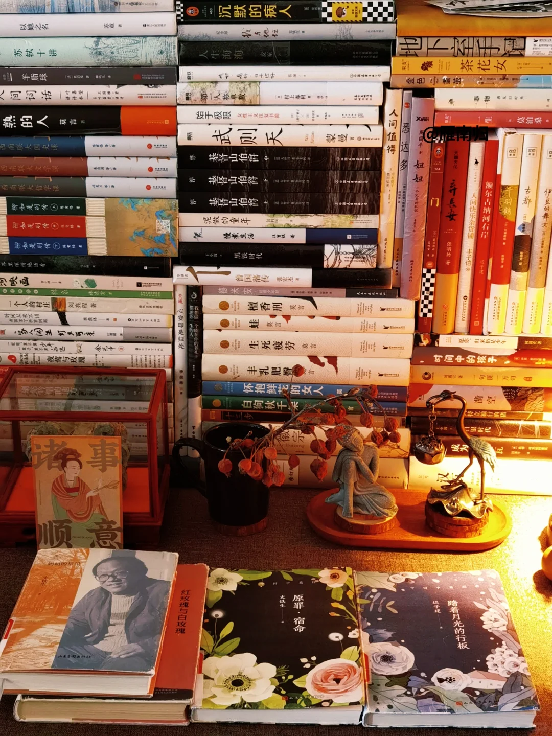 我的充电方式：独处，读书，晒太阳，不说话