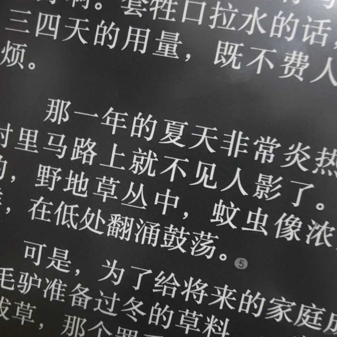 好喜欢我的掌阅Ocean4Turbo