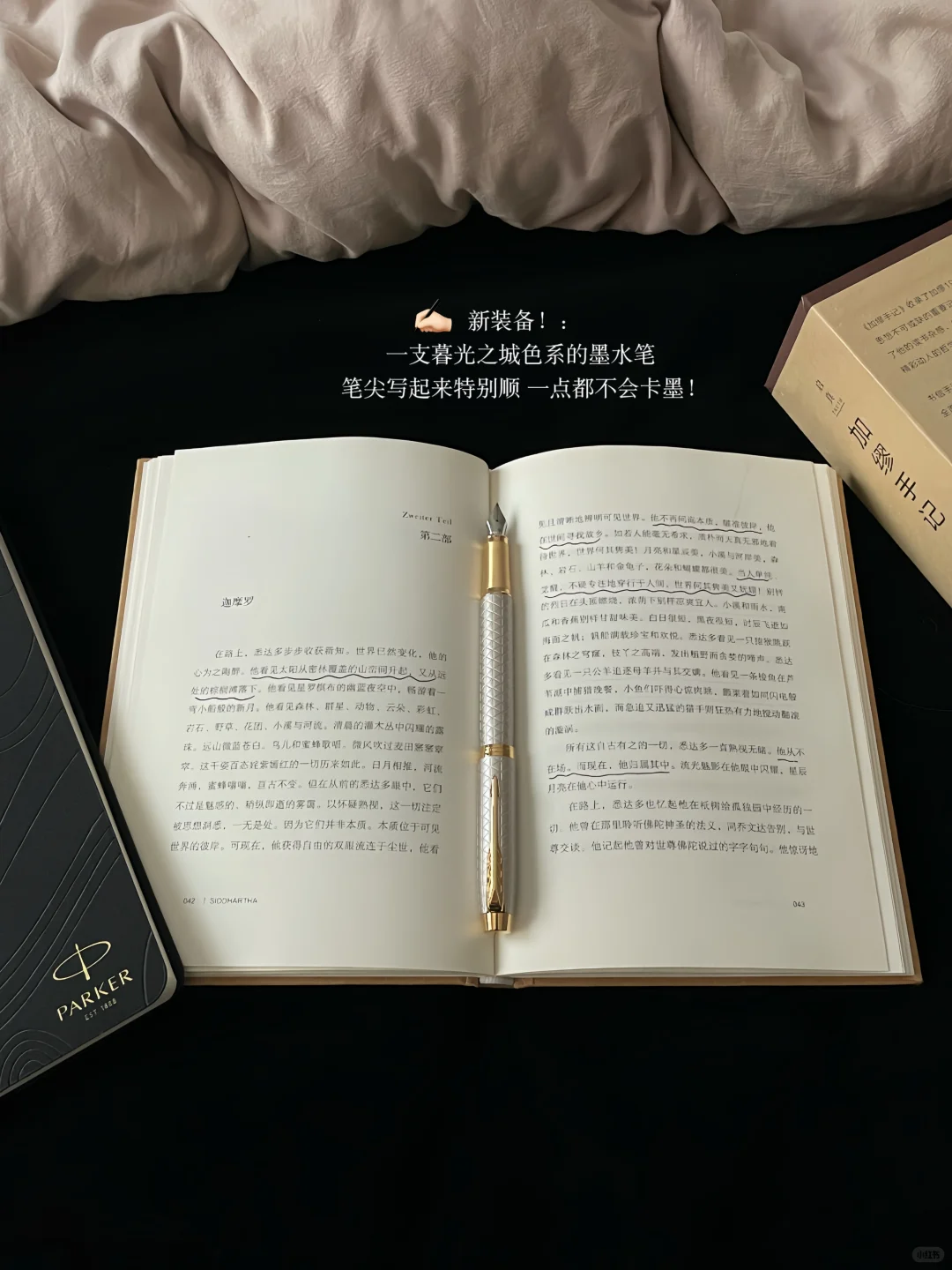 停止乱想 疯狂读书