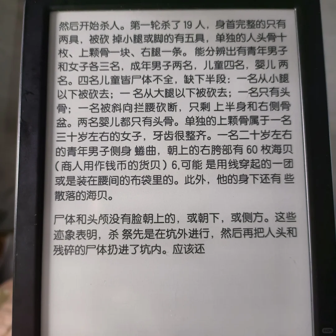 200收的掌阅r6801阅读器完美下车。