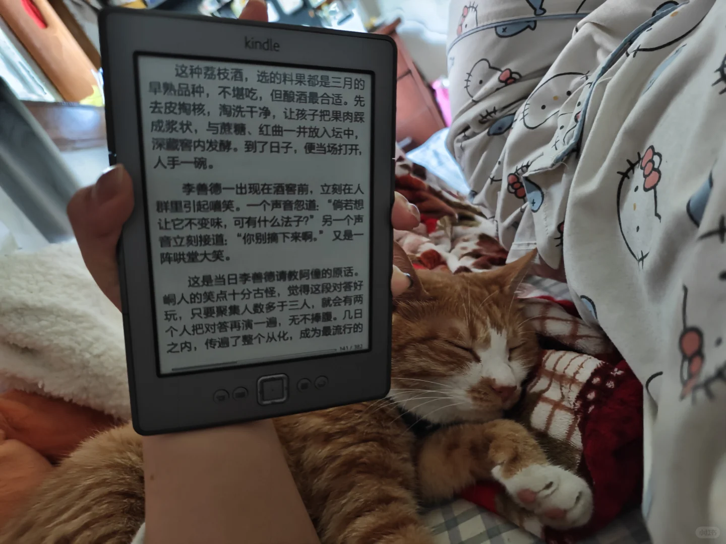 好喜欢我的小电子书阅读器🫧