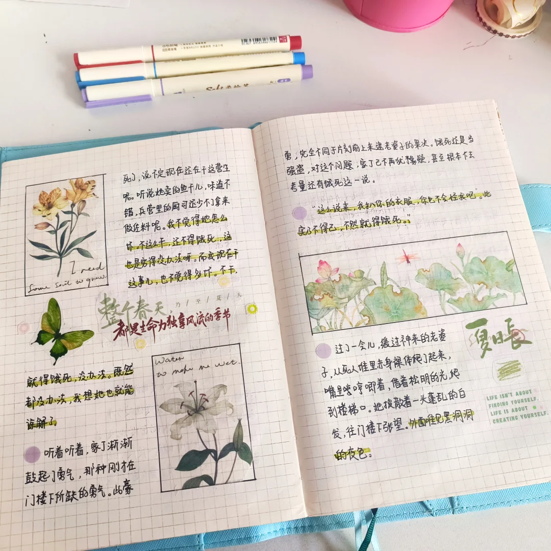 沉浸书海📖重拾阅读的乐趣