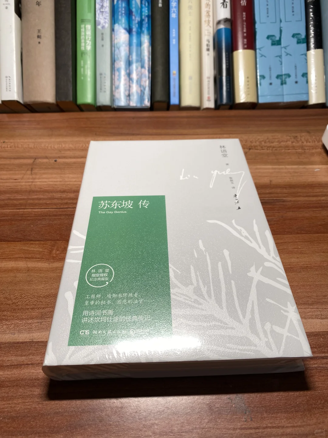 读书副业收入1656元，3个好习惯越做越轻松～