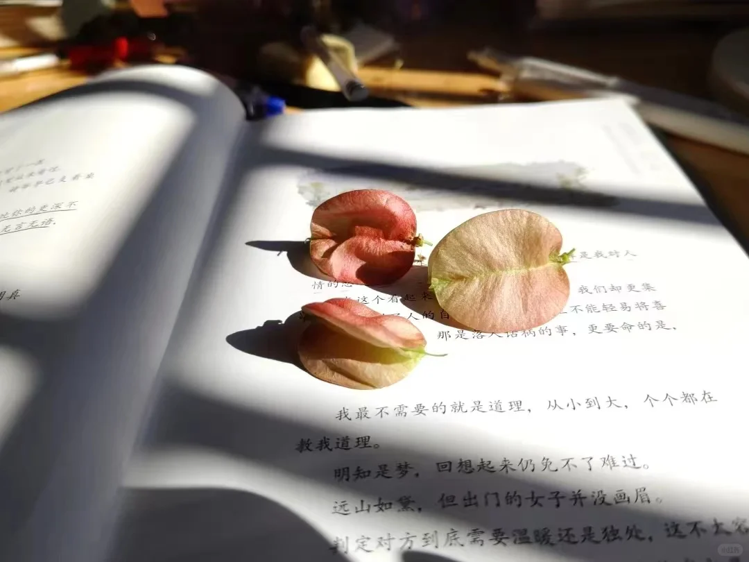 优秀作文《读书，让生活更美好》
