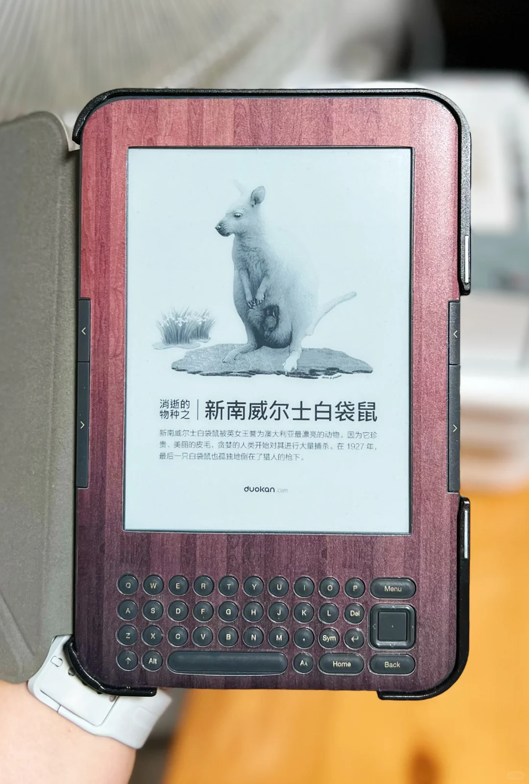 给我的阅读器们充电🔋