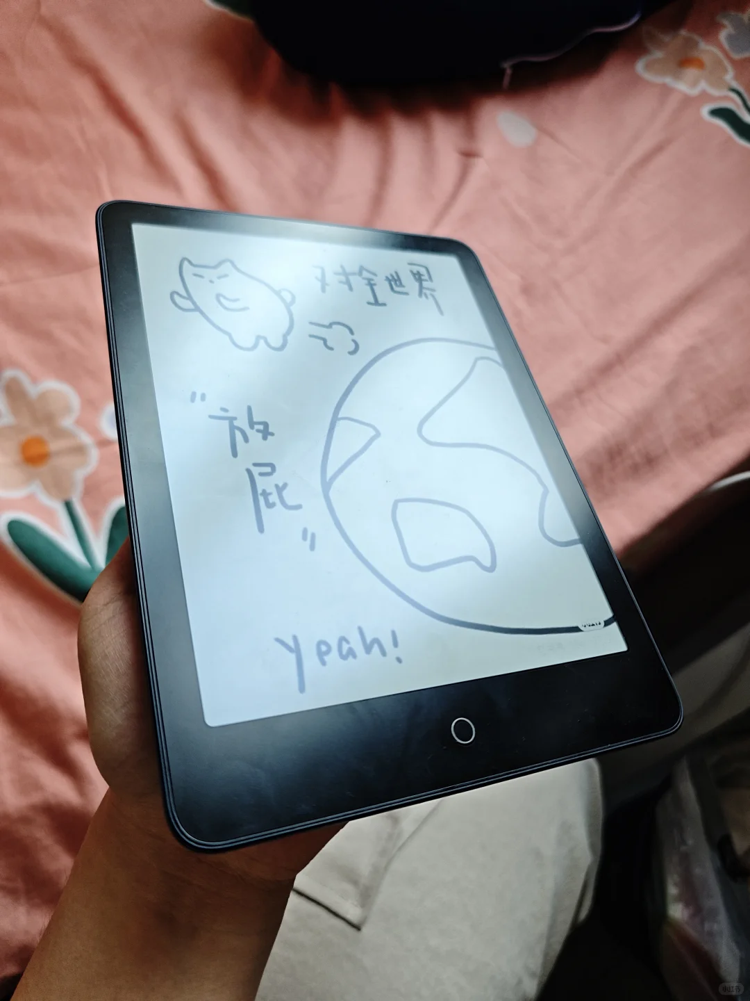 小米阅读器pro2