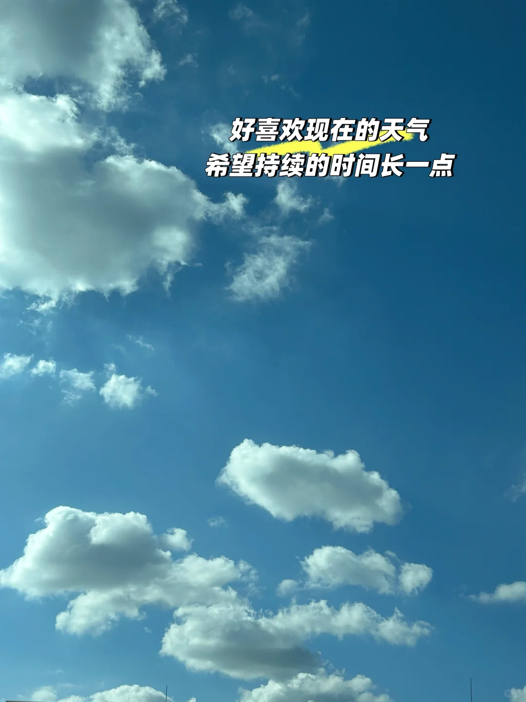 交出让你爽到的教师偷懒神器，我先来