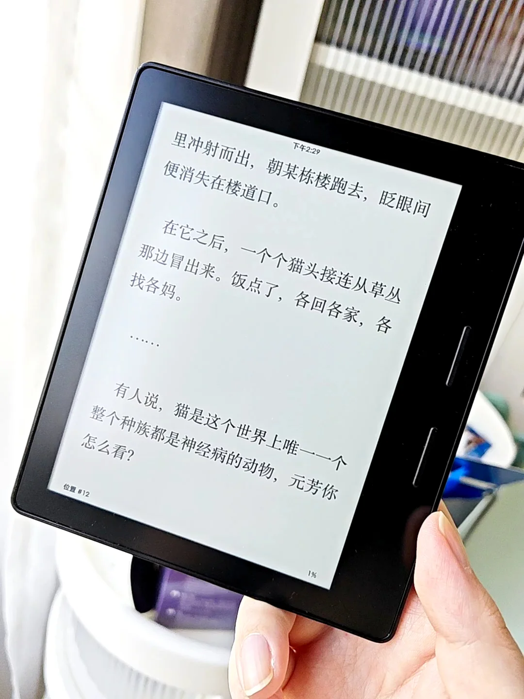 手里的墨水屏阅读器电子书