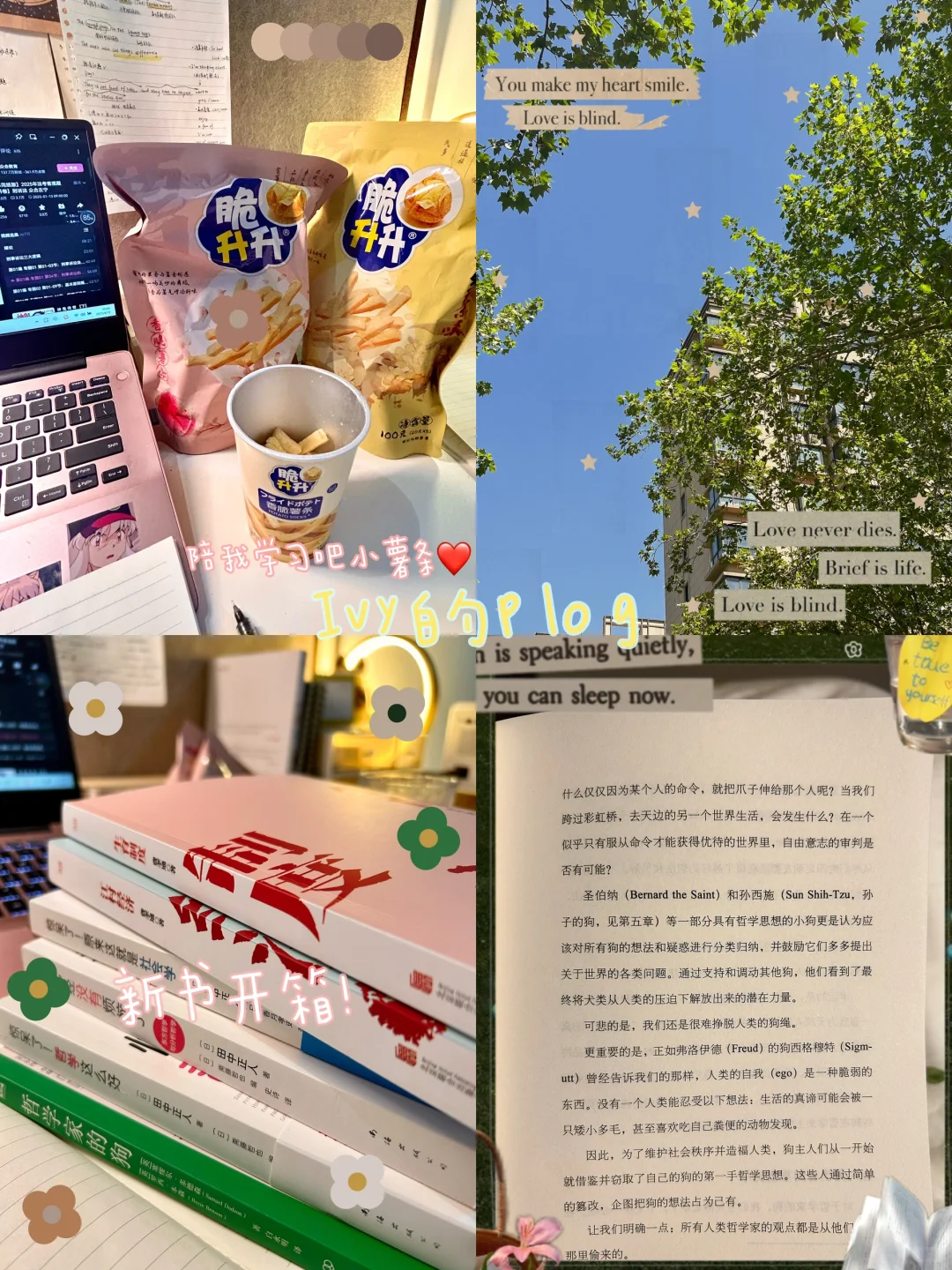新人plog｜好好生活 读书分享。