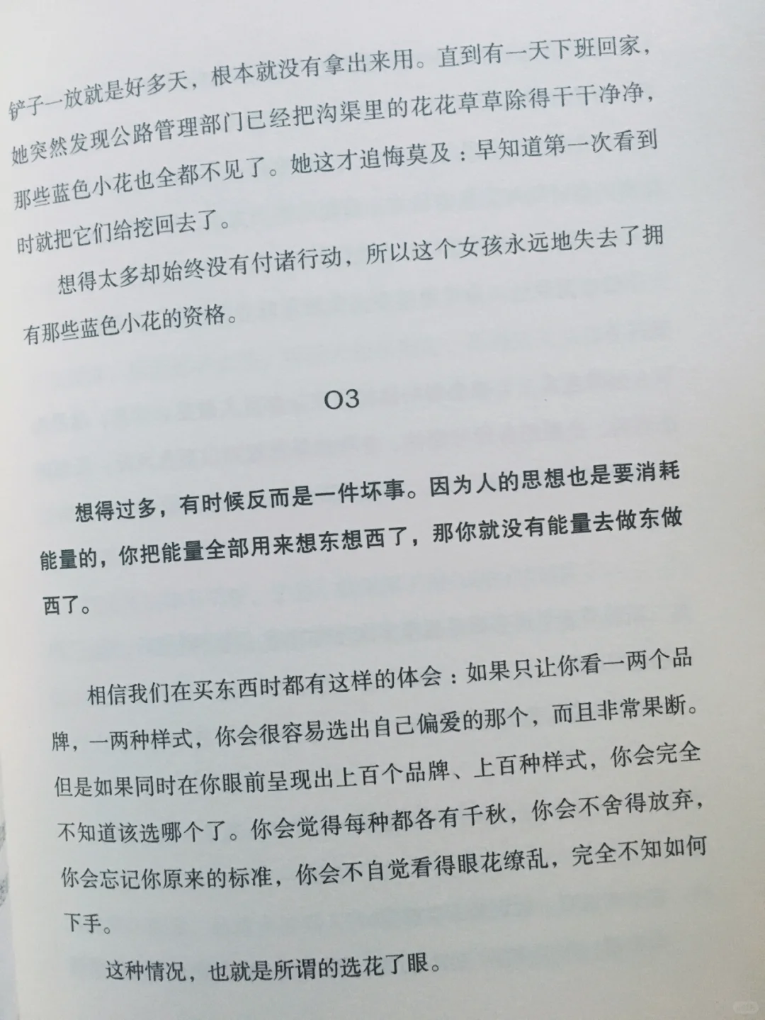 🍃越努力，越幸运，越独立，越自由。