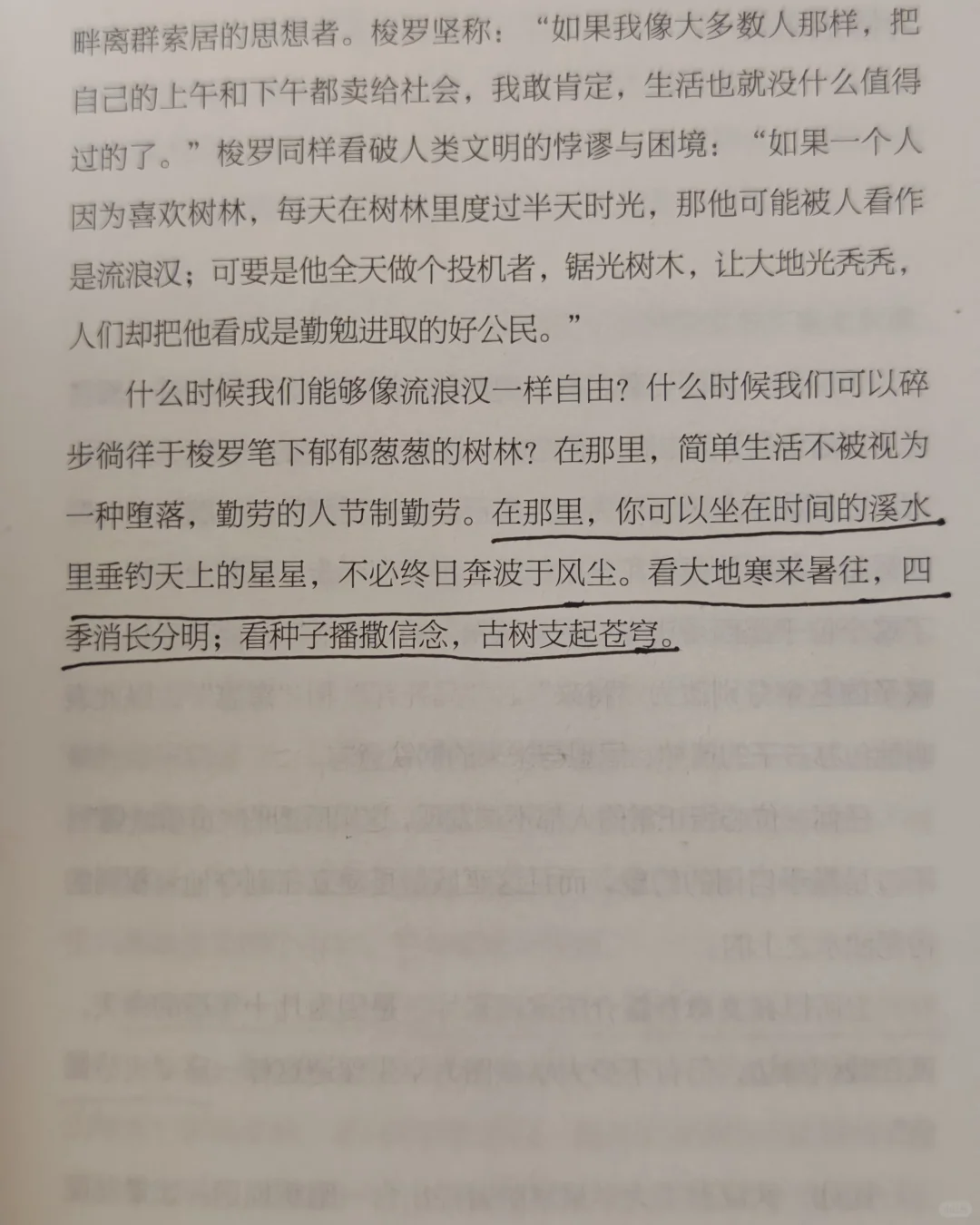 这本自由之书非读不可❗️❗️