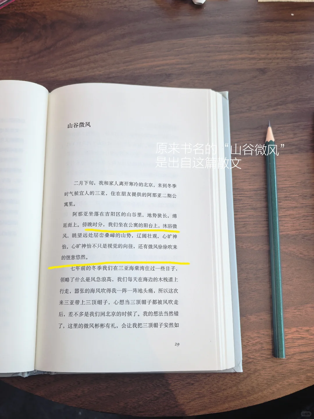 独处、散步、读书，好日子会在闲暇里生长。