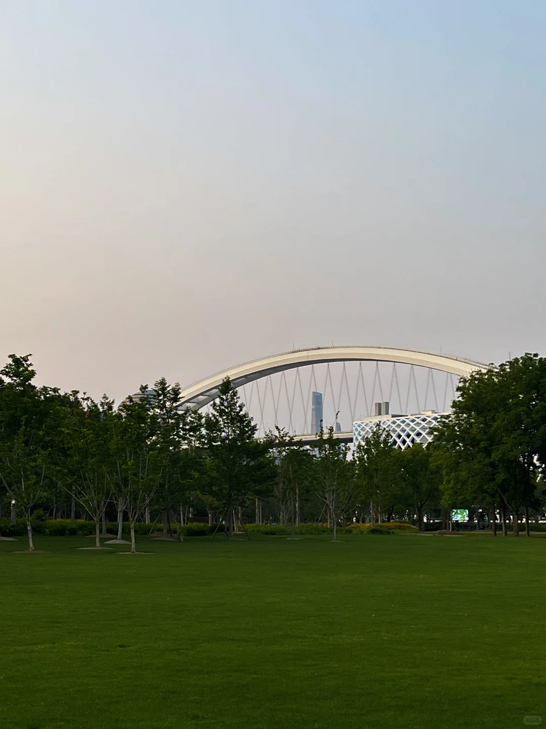 建议大家尽早建立自己的「自我支持系统」