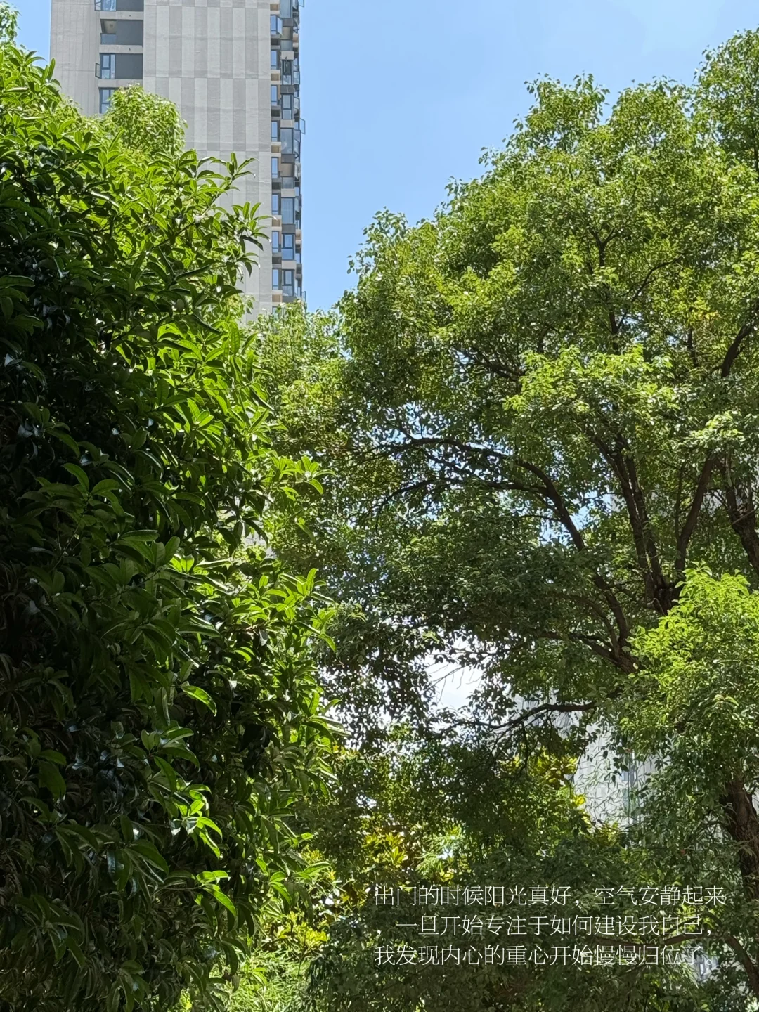 早晨一个人去看书，多塑造自己少研究别人