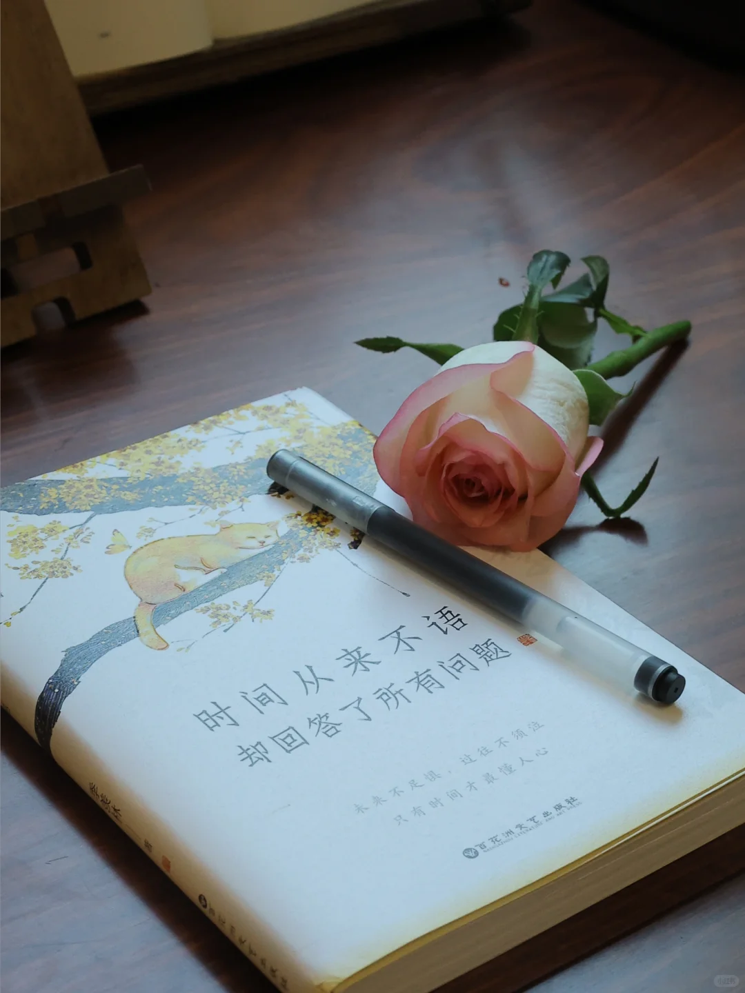 人到中年，允许自己情绪自由～