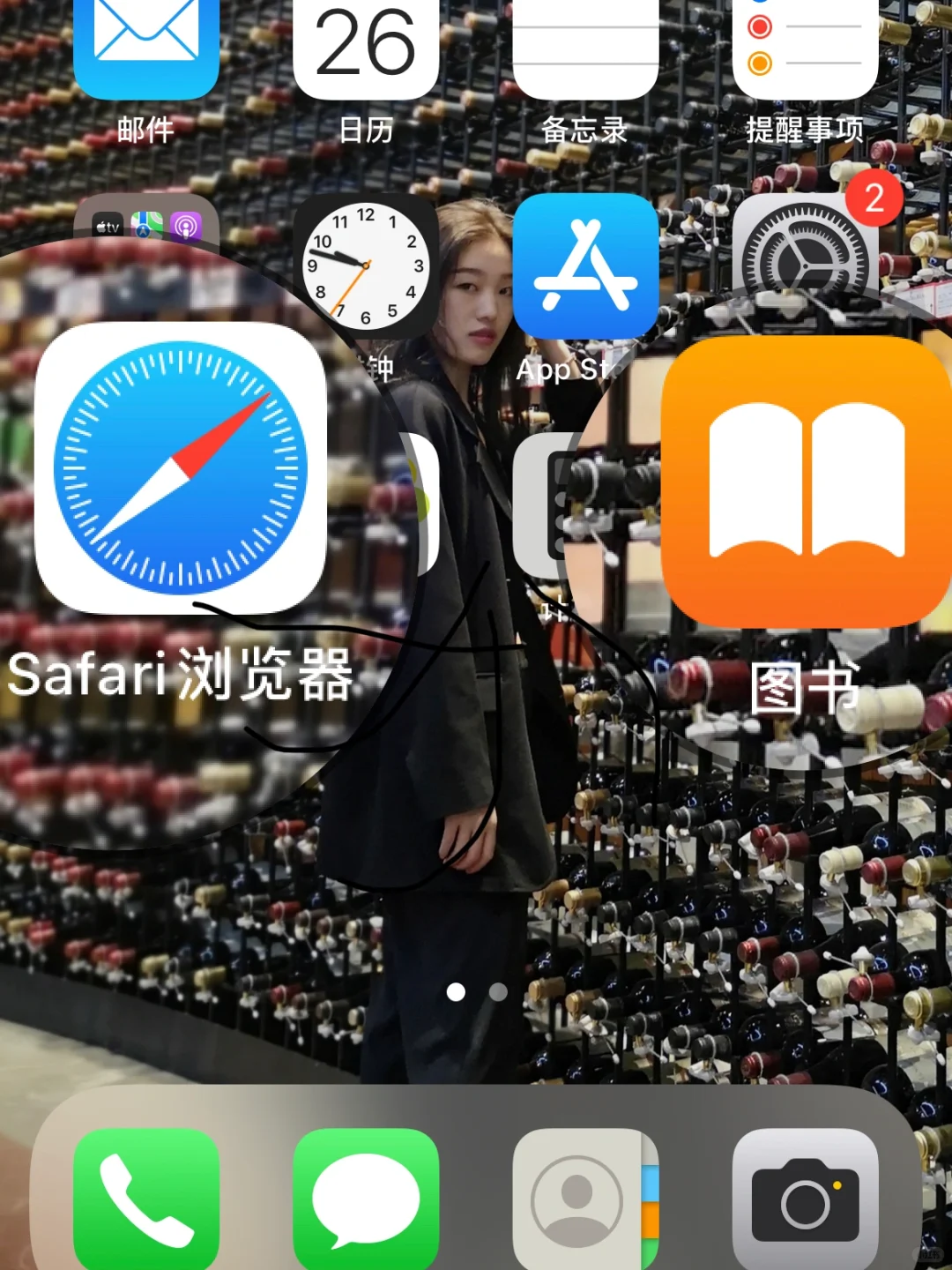 iPhone的safari浏览器➕图书=电子书自由