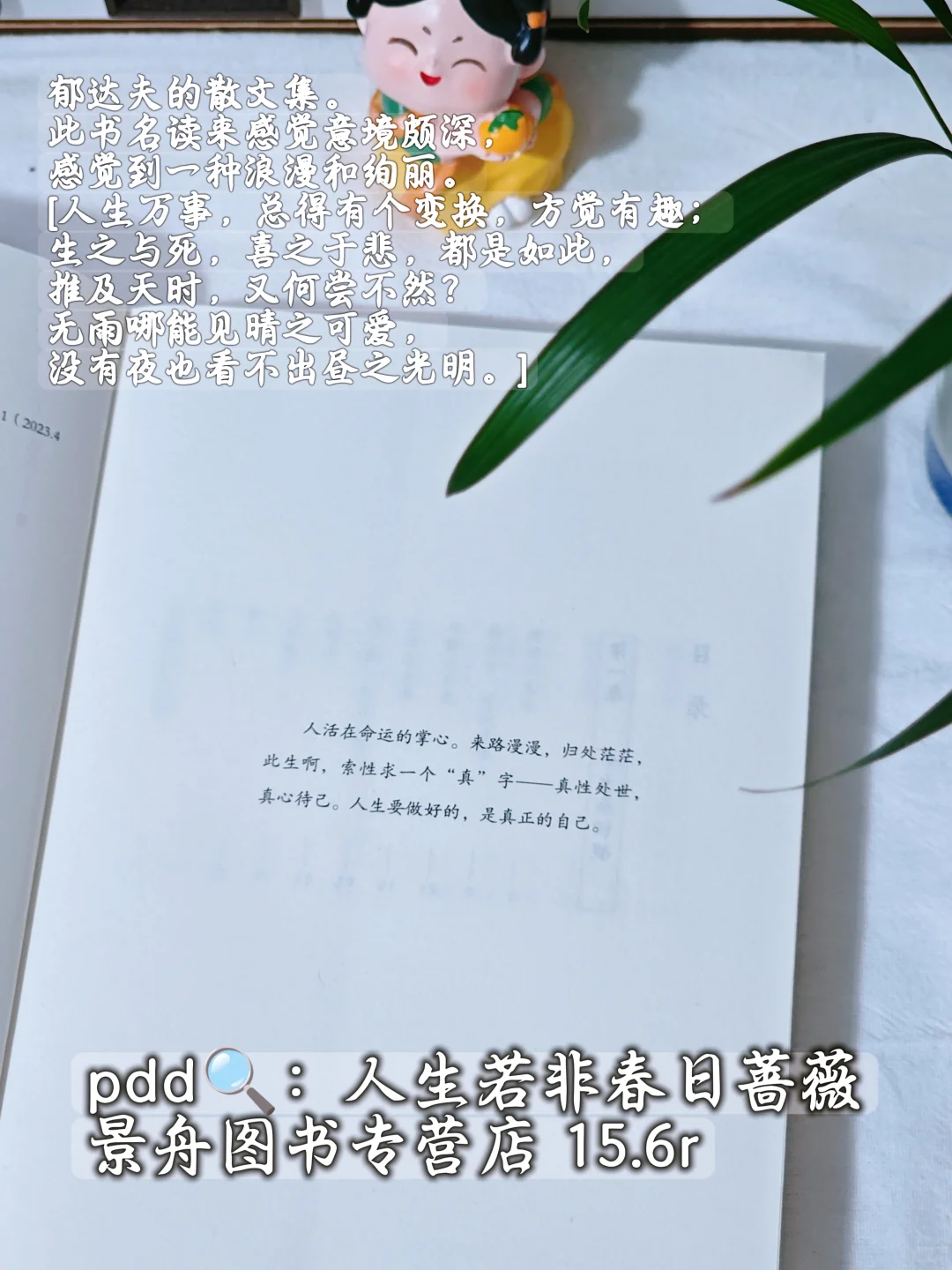 暑假到散文库里散散心啊~包治愈的~