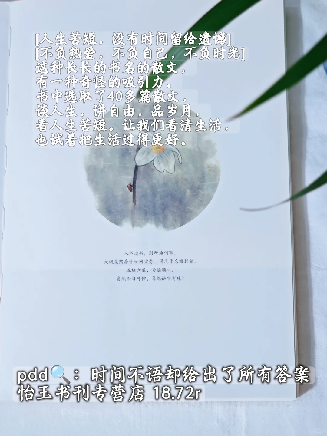 暑假到散文库里散散心啊~包治愈的~
