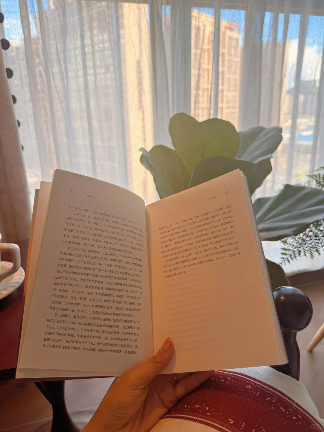 📚我不停的读书，是为了理解自己的痛苦