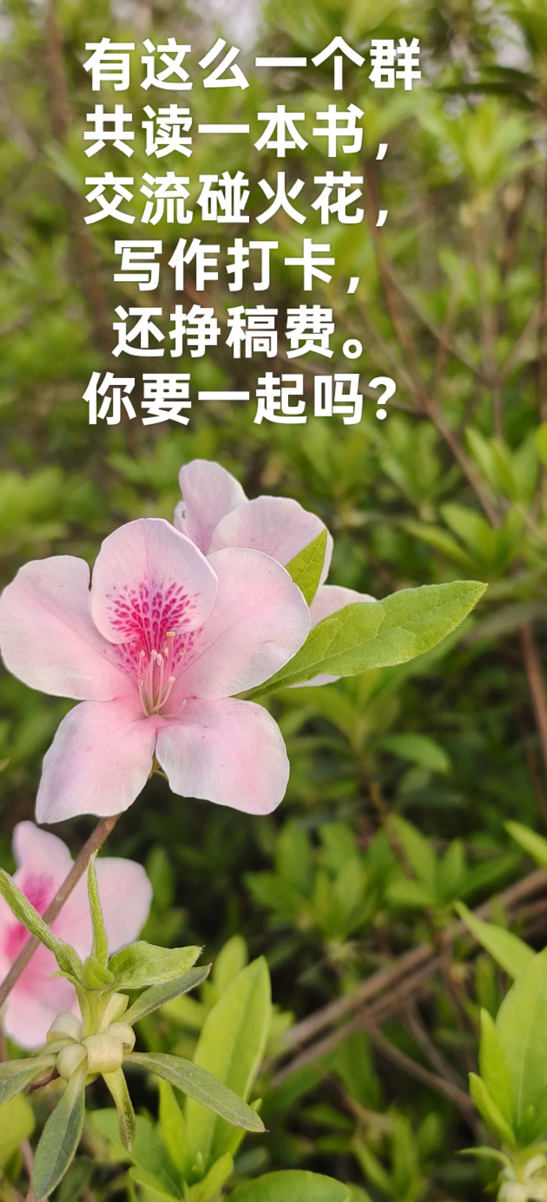 蹲几个真正爱读书的搭子