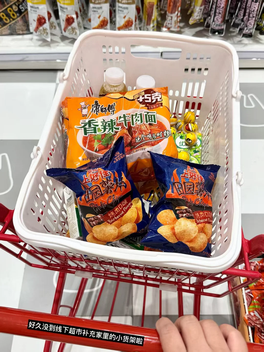 PLOG｜离职后 它成了我自由生活的最佳拍档
