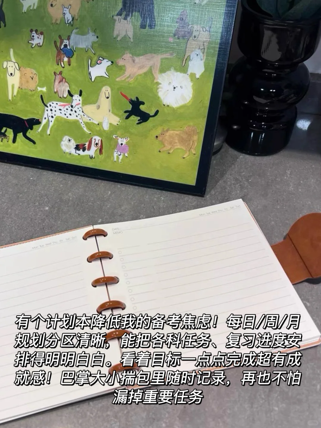 考研神仙好物 件件实用超省心