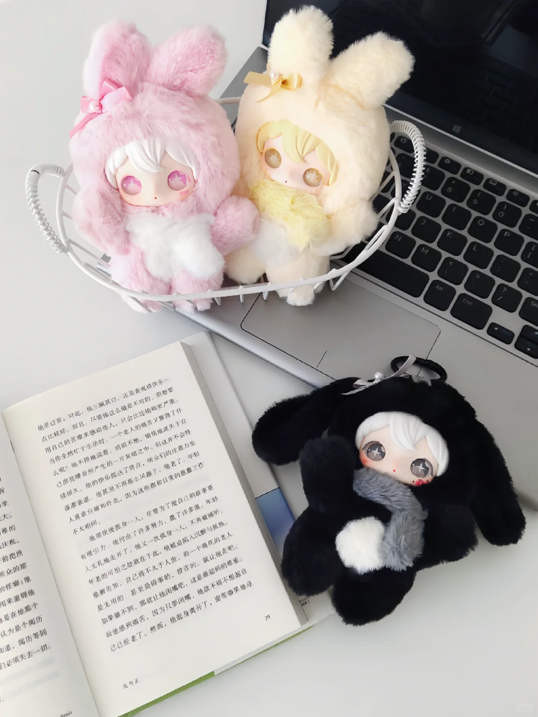 大家好，给大家介绍一下，这是我的读书搭子