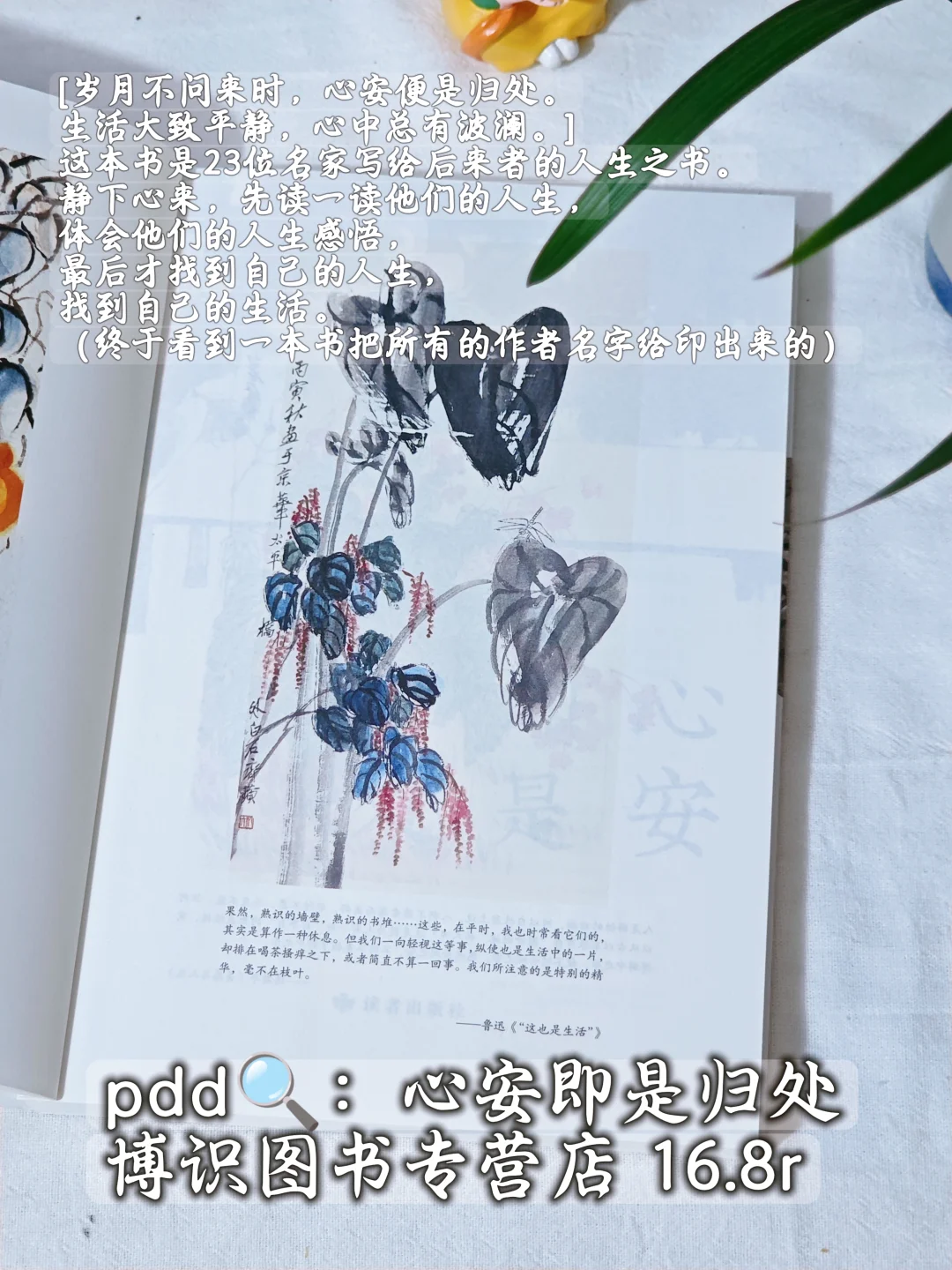 暑假到散文库里散散心啊~包治愈的~