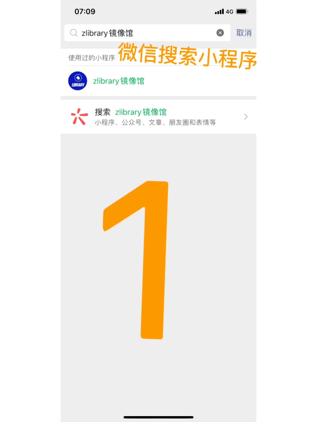 z-library无需注册无限量下载⏬