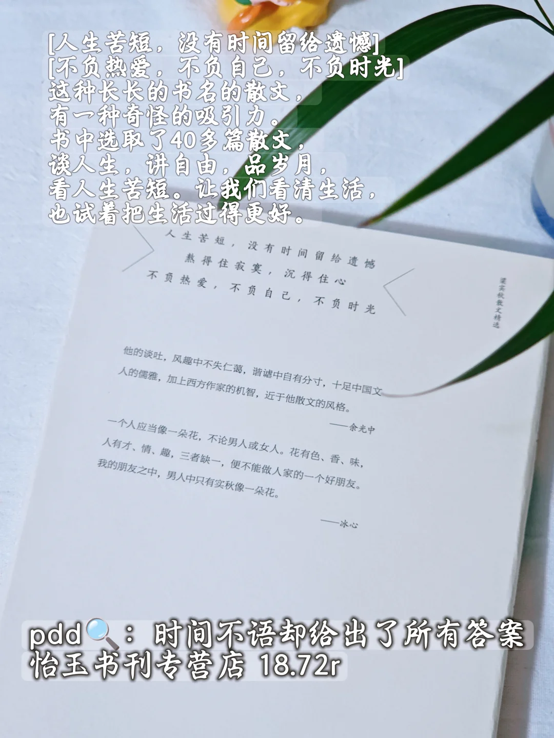暑假到散文库里散散心啊~包治愈的~