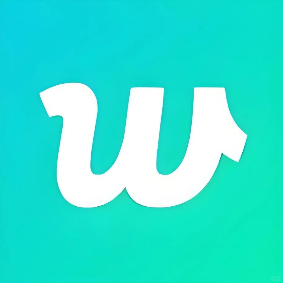 wvs最新安装教程