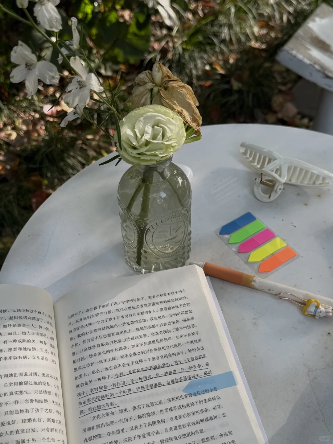 我始终喜欢阅读和独处
