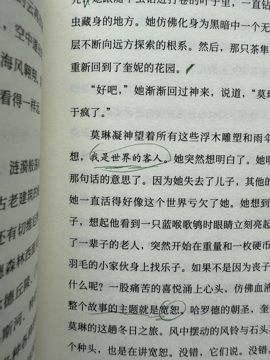我喜欢一个人去喝咖啡。