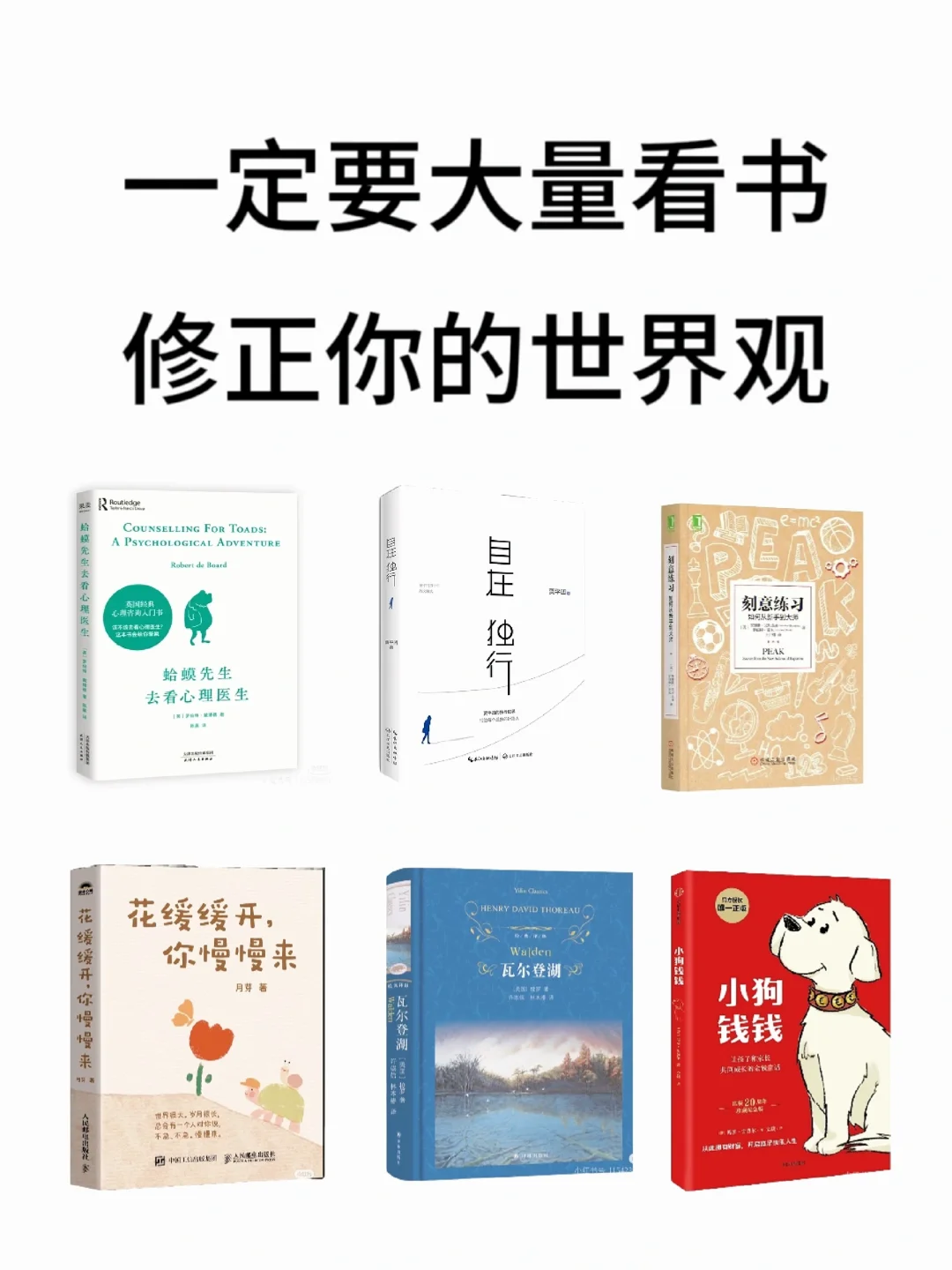 人一定要大量读书｜看书多了，焦虑就少了