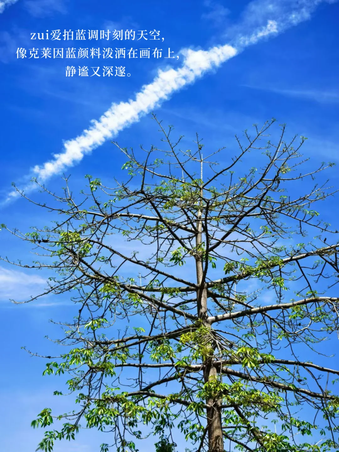 我的周末日常：享受独处，阅读、散步、听音乐🎵
