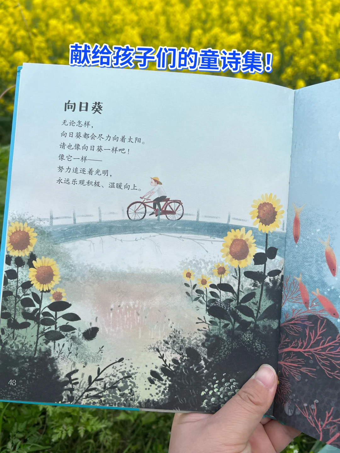 可以写进作文里的童诗❤️