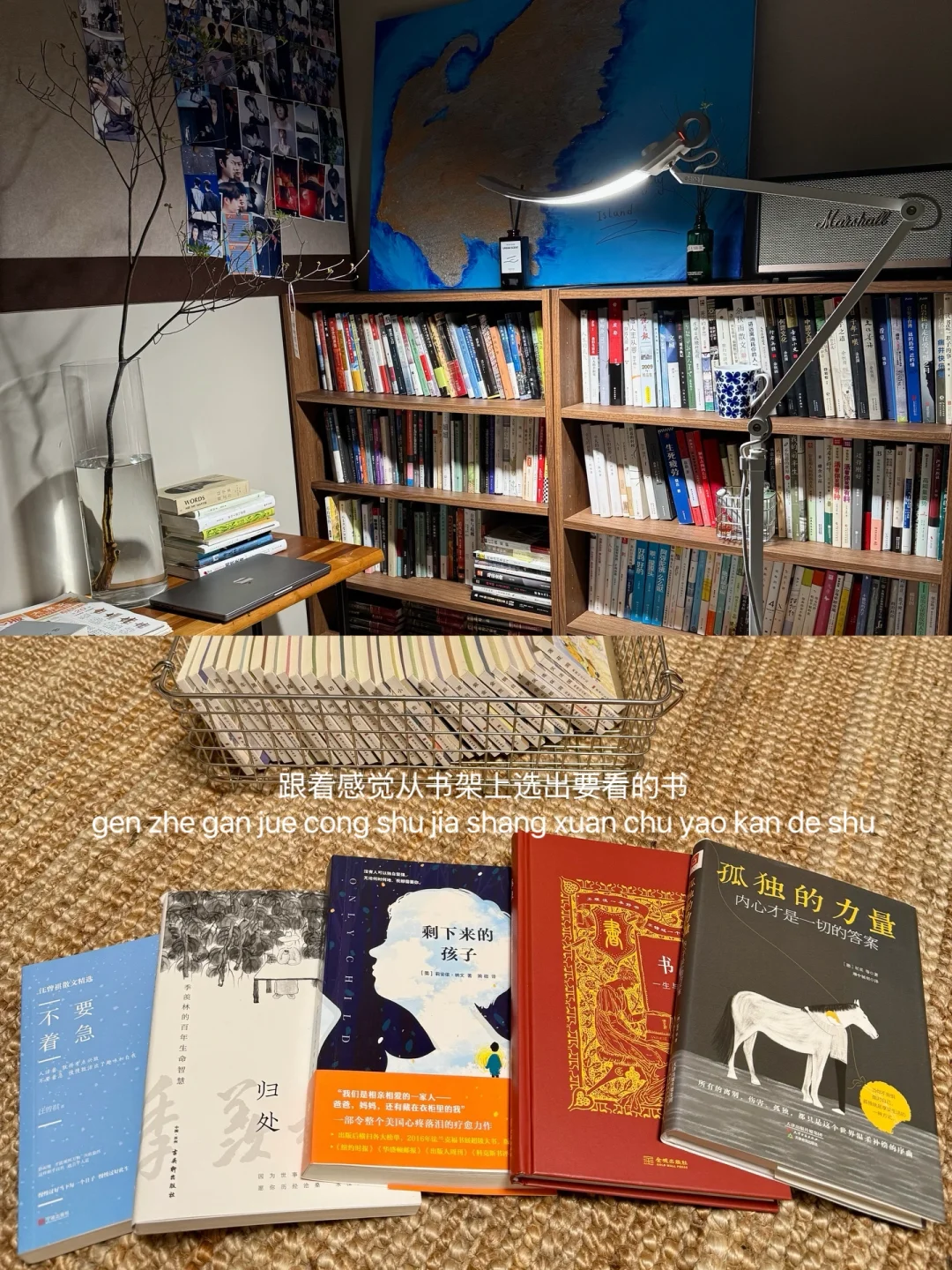 ｜｜阅读角 我们的安全岛