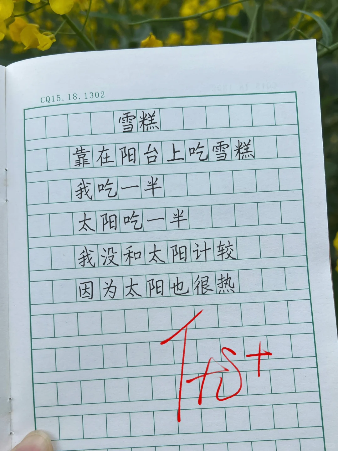 可以写进作文里的童诗❤️