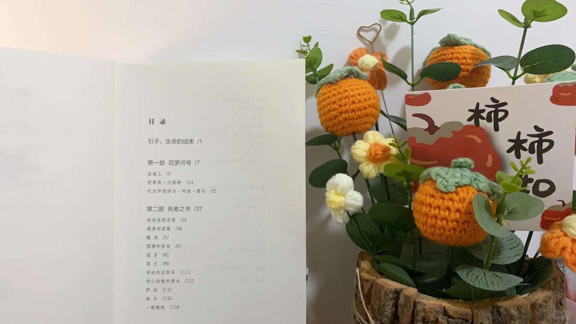 在阅读里做的第二场梦！