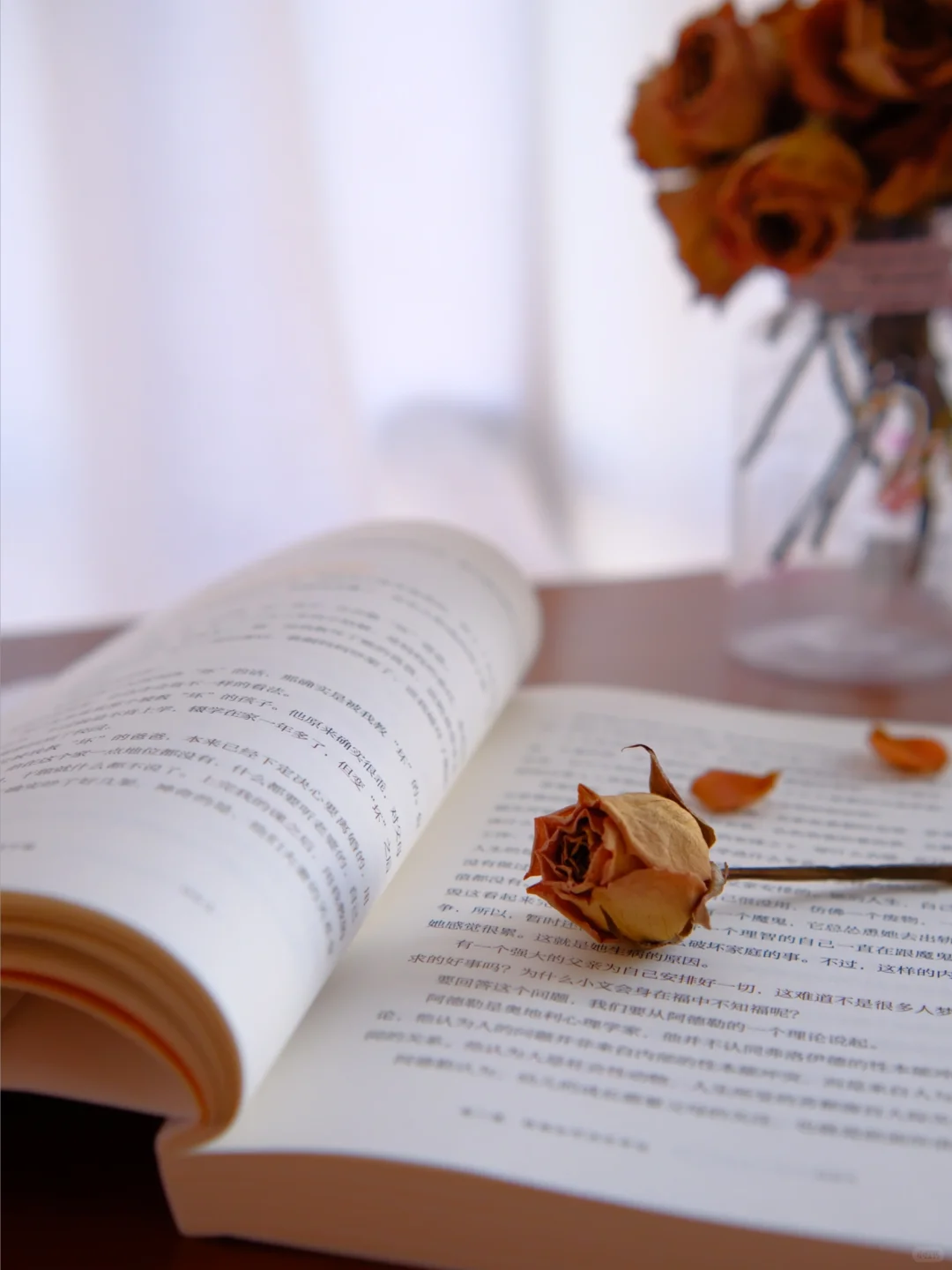 读书，是许多烦恼的解药📚