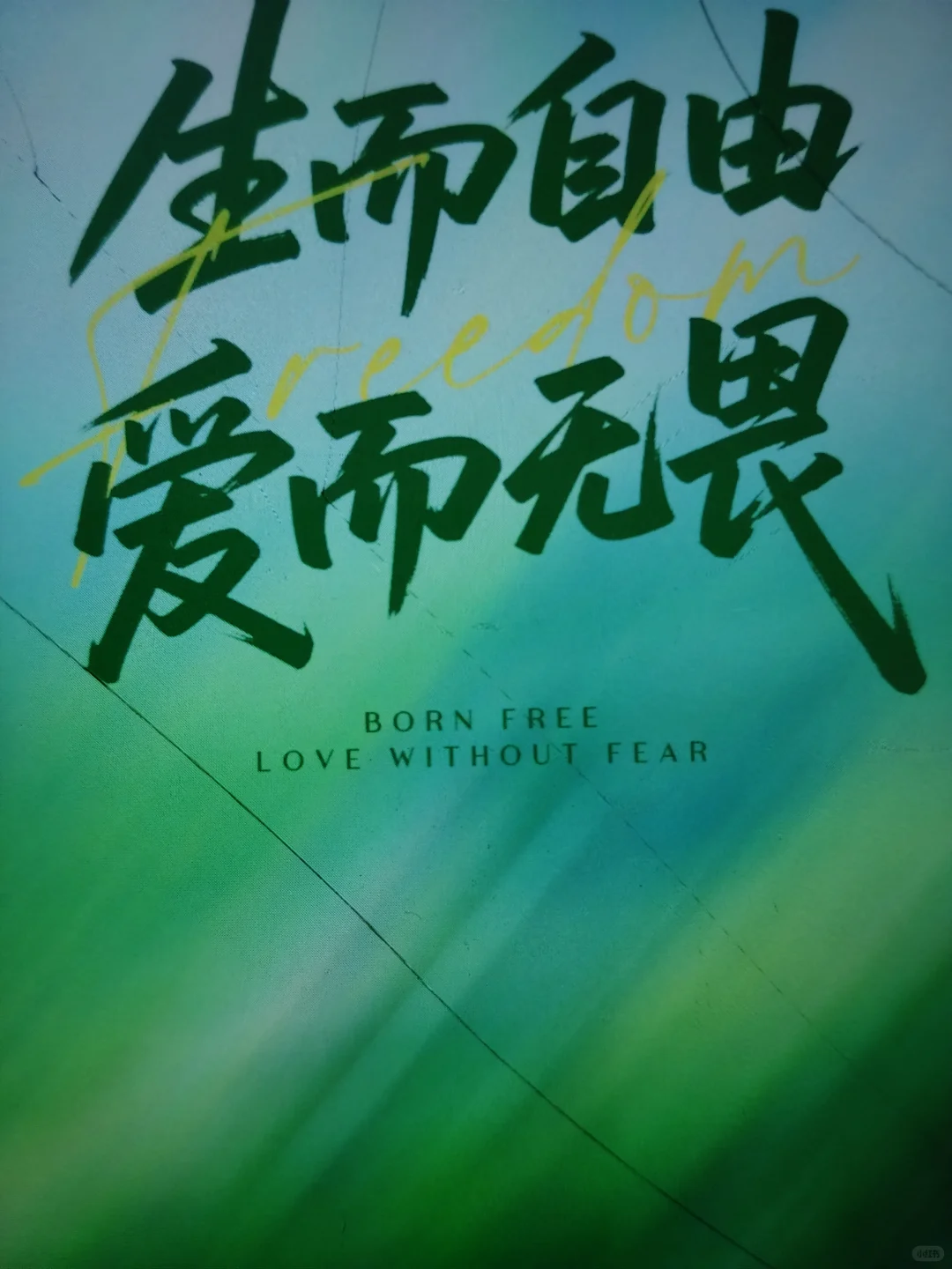 📚 生活的诗意藏在每一次翻页间