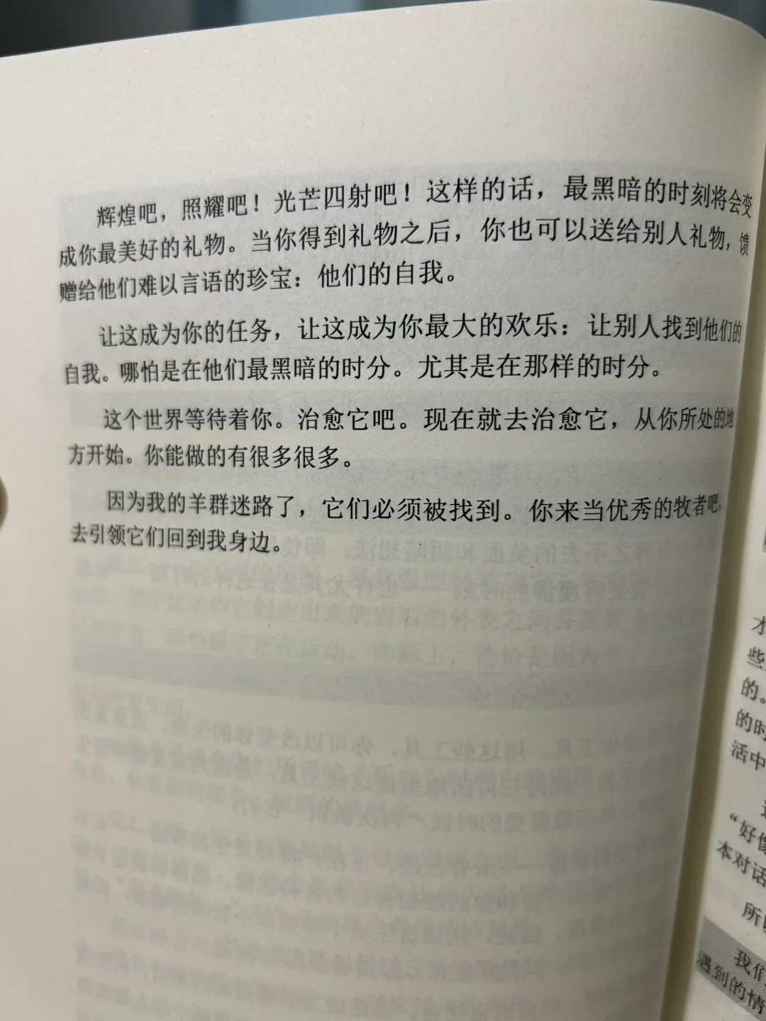 2023我爱上了看书