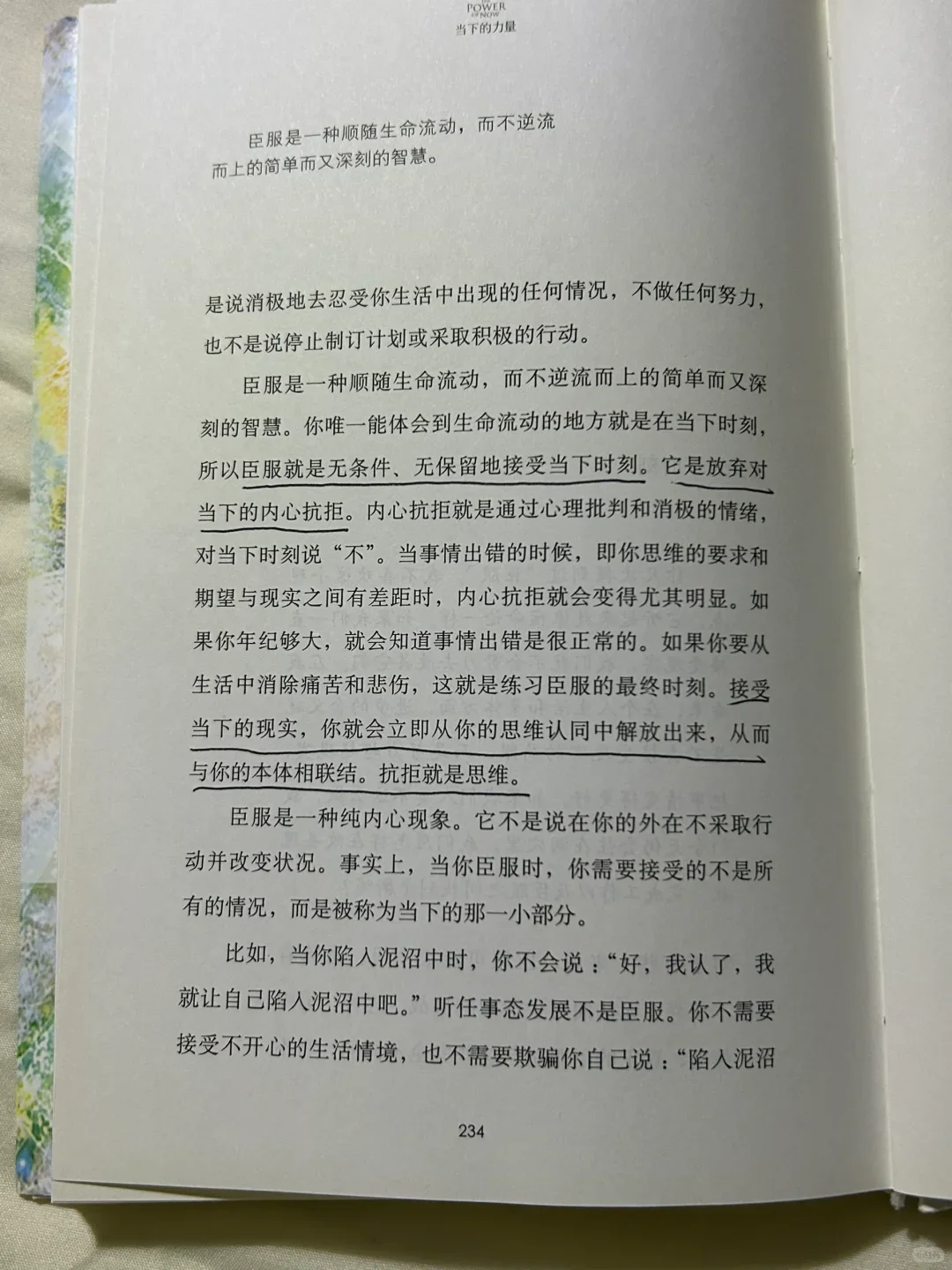 2023我爱上了看书