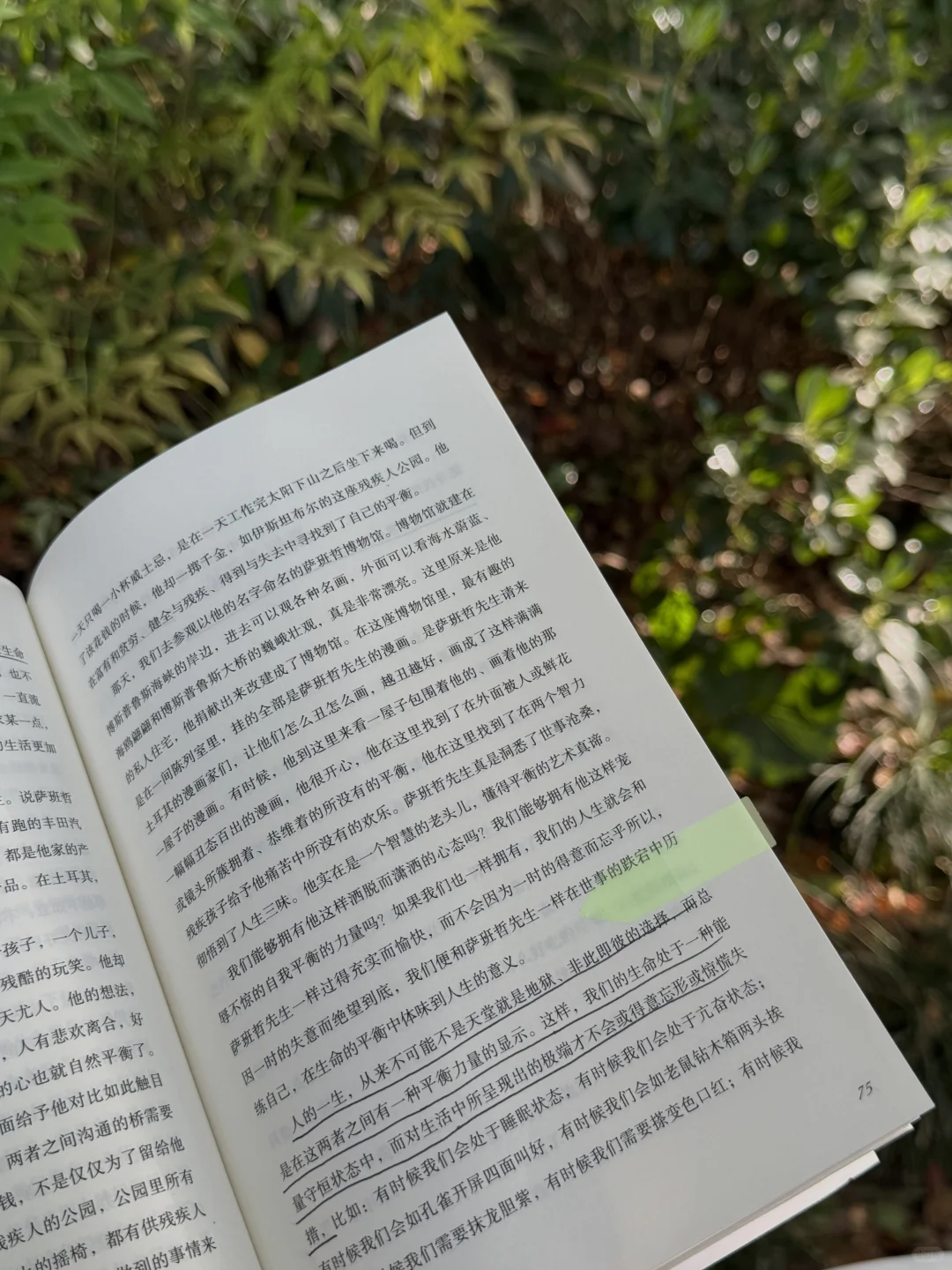 我始终喜欢阅读和独处