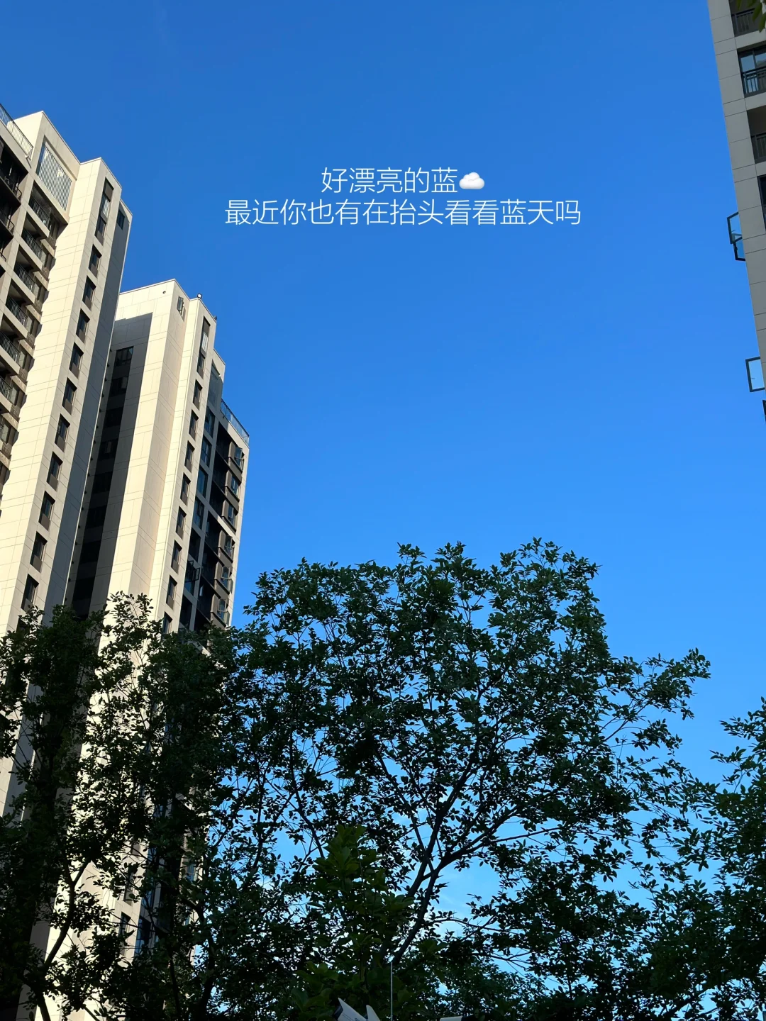 就这样不停不停地阅读