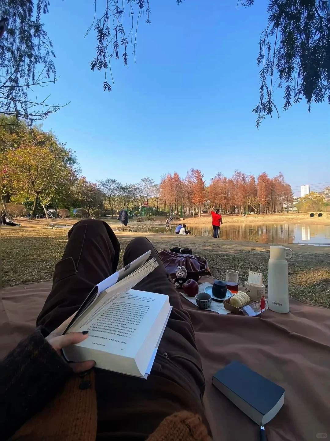独处，晒太阳，看书｜给心力一个喘息的出口