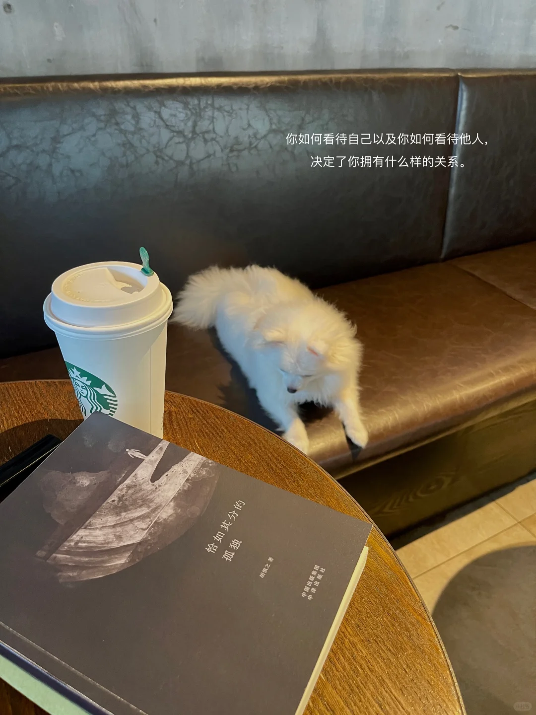 我不停的读书，只是为了理解自己的孤独
